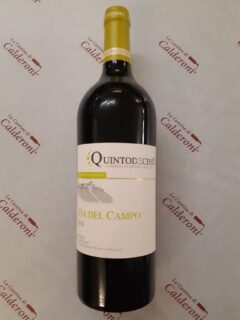 Falanghina Via del Campo DOC Quintodecimo lt 0.75