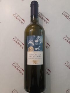 Bianchello del Metauro DOC Guerrieri lt 0.75