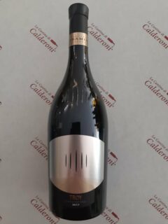 Chardonnay Riserva Troy Alto Adige DOC Cantina Tramin lt 0.75