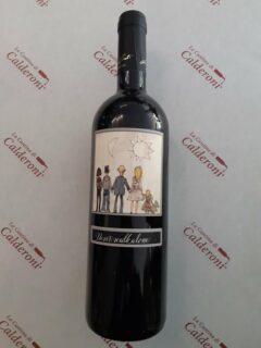 Sangiovese Superiore Never Walk Alone Romagna DOC Leone Conti lt 0.75