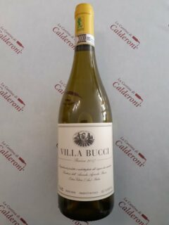 Verdicchio dei Castelli di Jesi Classico Riserva DOC Villa Bucci lt 0.75