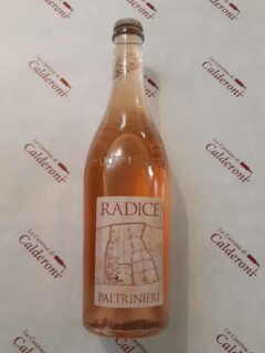 Lambrusco Radice Sorbara DOC Paltrinieri lt 0.75