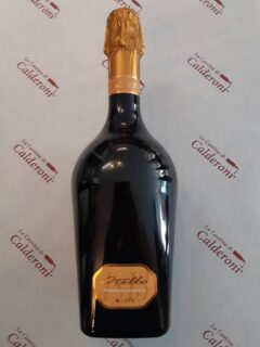 Nero di Lambrusco Otello Frizzante IGT Ceci lt 0.75